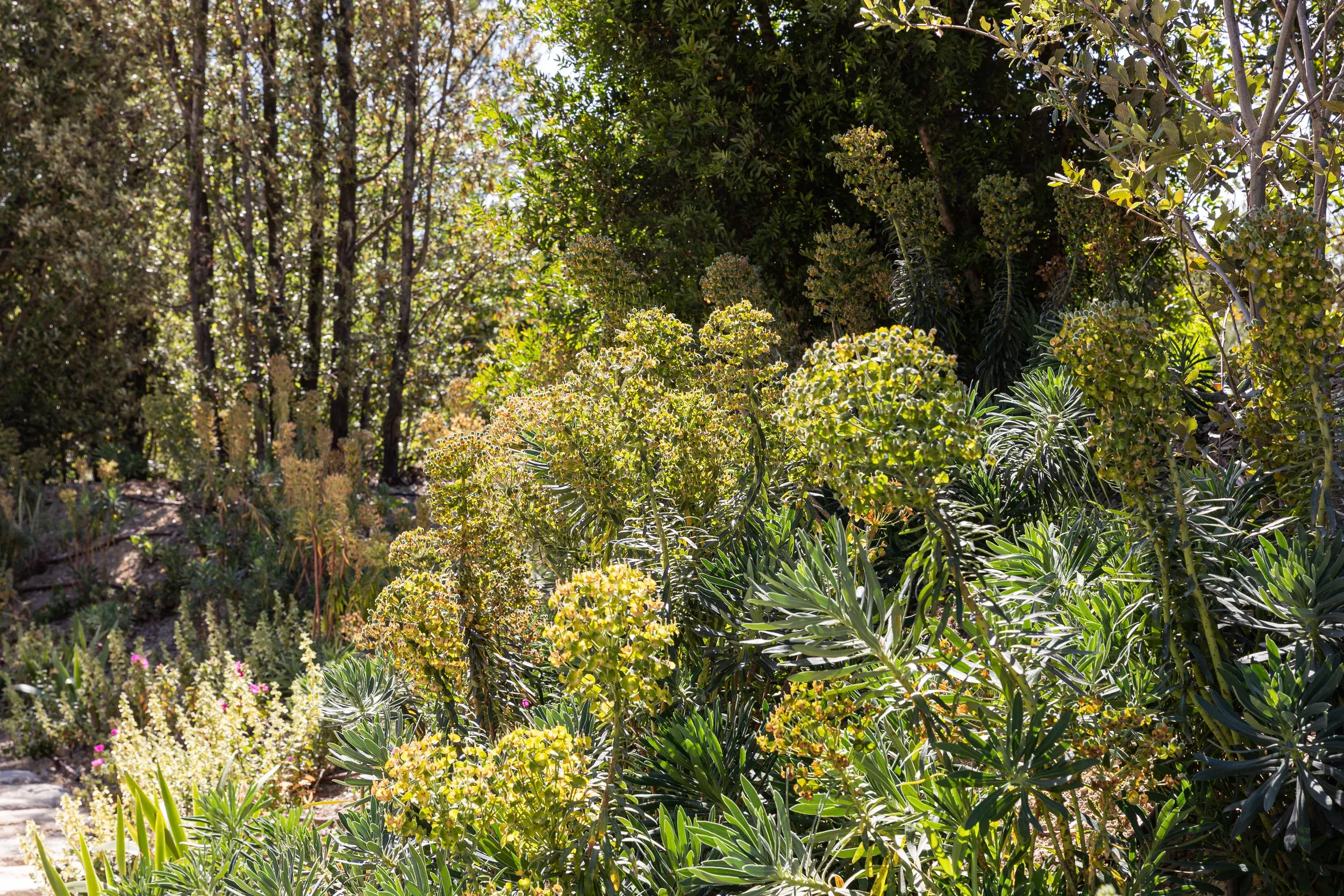 210527-PARCPAYSAGER-ADRIANDEWEERDT-57