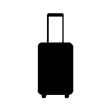 Valise_converted