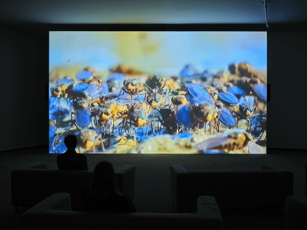 Verena Paravel, Delta, 2026 - 2027, La Tour, Galerie Est, LUMA Arles, France. - Medium (1)